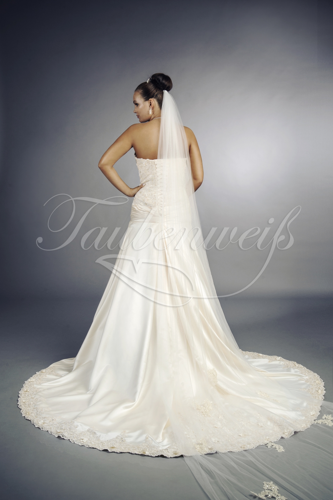 Wedding dress TW0108B 1